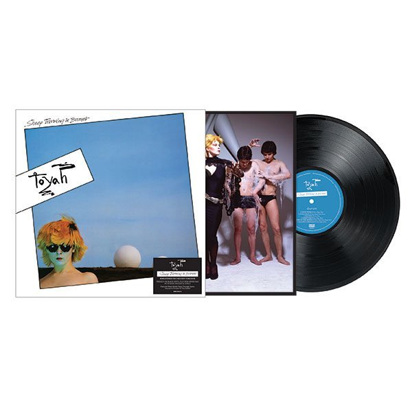 Sheep Farming In Barnet