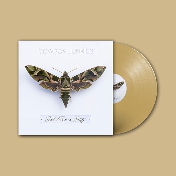 Such Ferocious Beauty