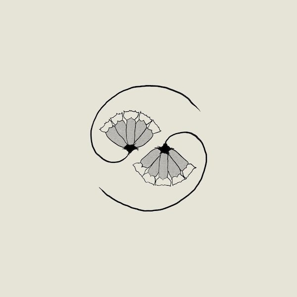 G_d´s Pee at State´s End