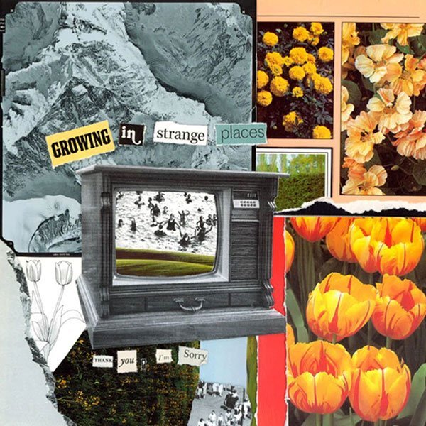 Growing In Strange Places