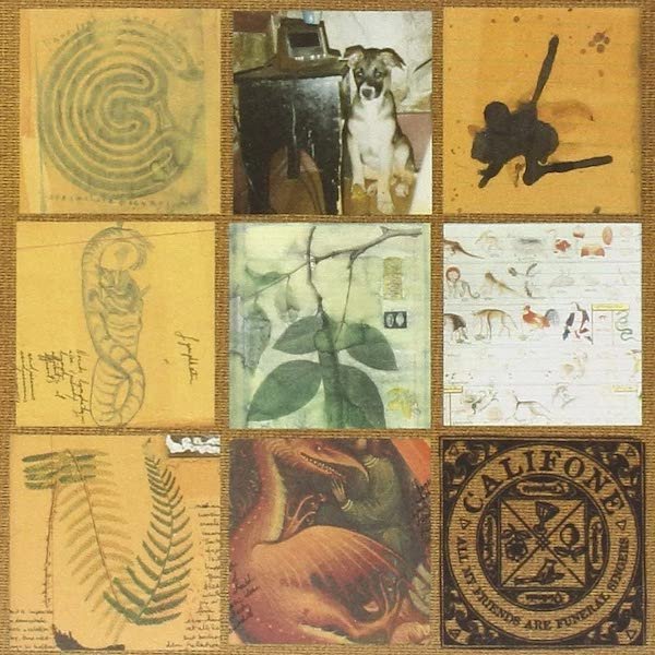 All My Friends Are Funeral Singers