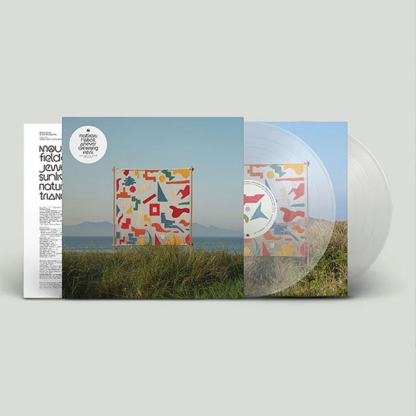 An Ever Changing View