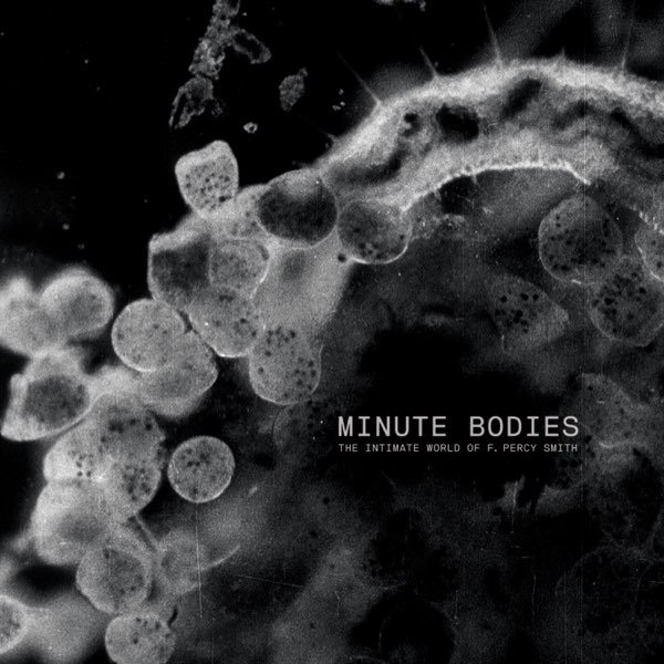 Minute Bodies: the Intimate World of F. Percy Smith