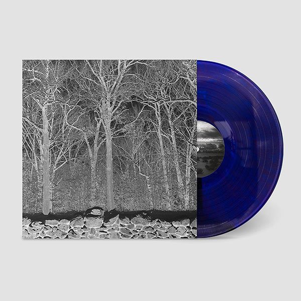 Sunshine And Balance Beams