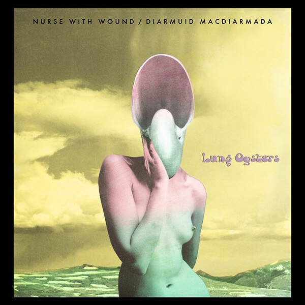 Lung Oysters