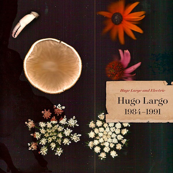 Huge Large and Electric