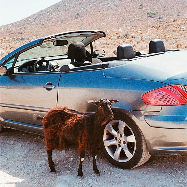 Prove The Mountains Move