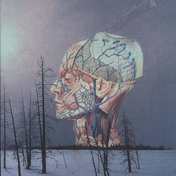 Songs For a Dead Pilot